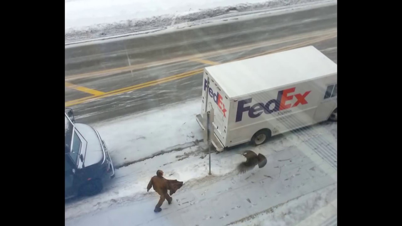turkey chasing a fedex guy