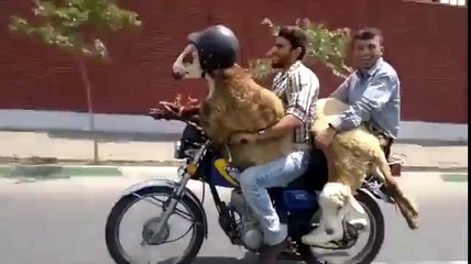 Bu kadar da olmaz denilen tehlikeli taşıma