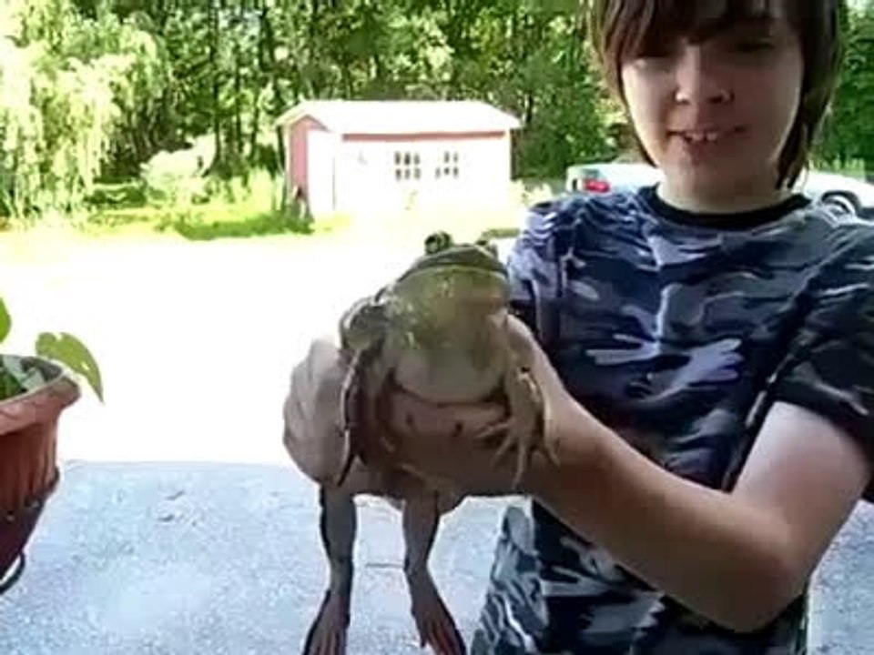 funy dado
