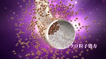 00268 wella wellaton yoko moriguchi gota watabe health and beauty - Komasharu - Japanese Commercial