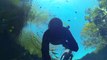 Freediving and Snorkeling in Cenote Jardin del Eden Playa del Carmen Mexico