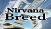 Breed Nirvana cover (Nevermind) by Japanese pop punk band