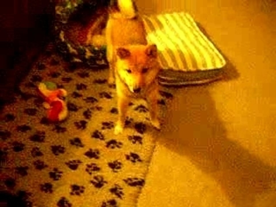 Jeux en soirée a la maison