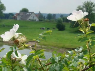 Fietsen in de Geldersepoort