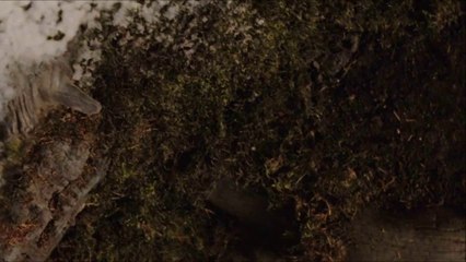 Kaynak - Hepimiz hayatımız boyunca bütünün bir parçası olmak için çabaladık.