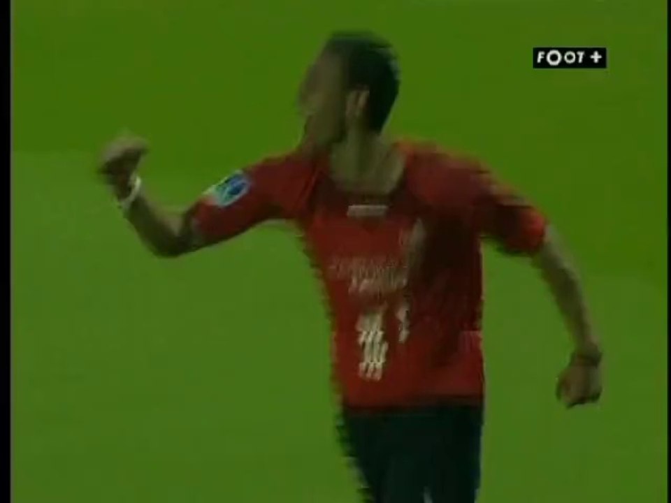Lille - Lyon 2-0 Odemwingie