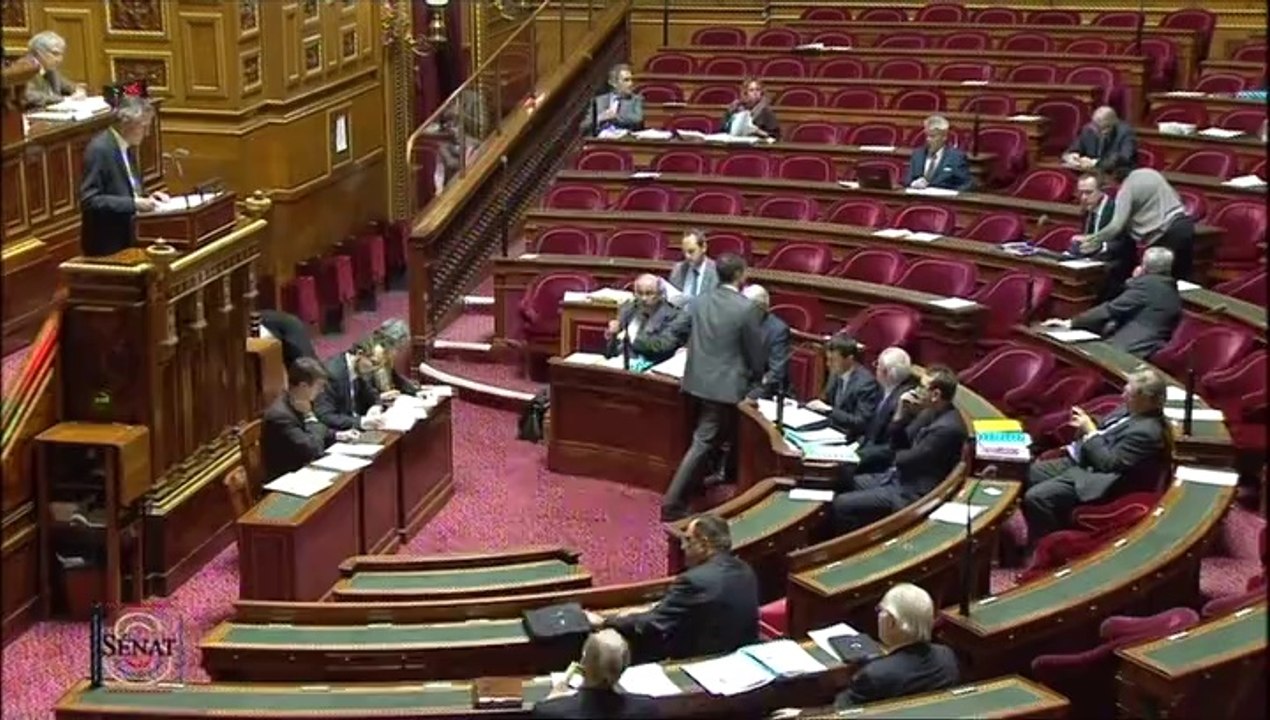 Loi relative à l'élection des conseillers départementaux, municipaux et communautaires - 16 janvier 2013