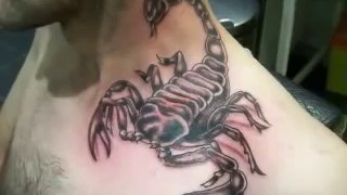 Scorpio Tattoos - Zodiac Scorpion Designs Tattoo-Bodyink.Com