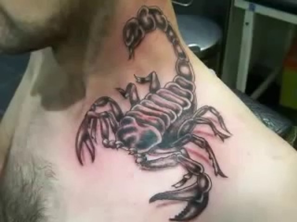Scorpio Tattoos - Zodiac Scorpion Designs Tattoo-Bodyink.Com
