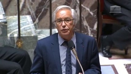 François Rebsamen, questions au gouvernement du 05/06/2014