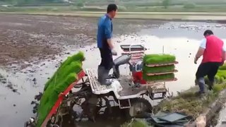 Amazing Rice machine