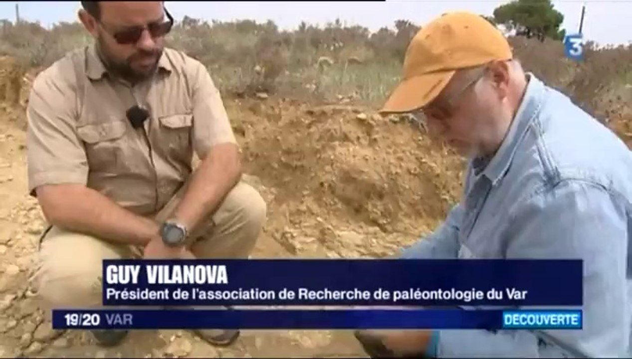 Le JT Toulon du 05-06-2014