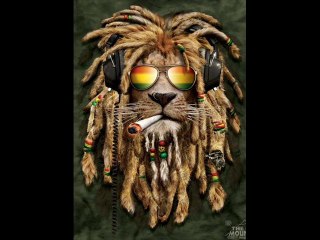 Freelance programa radial 1