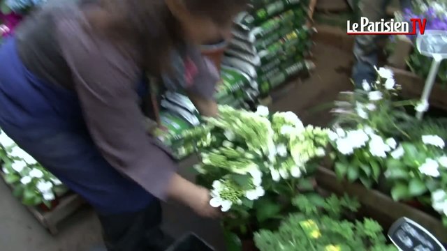 Un fleuriste parisien aura quatre minutes pour séduire la reine d'Angleterre