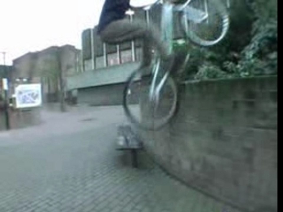 Pitbull november02 Craig lee scott