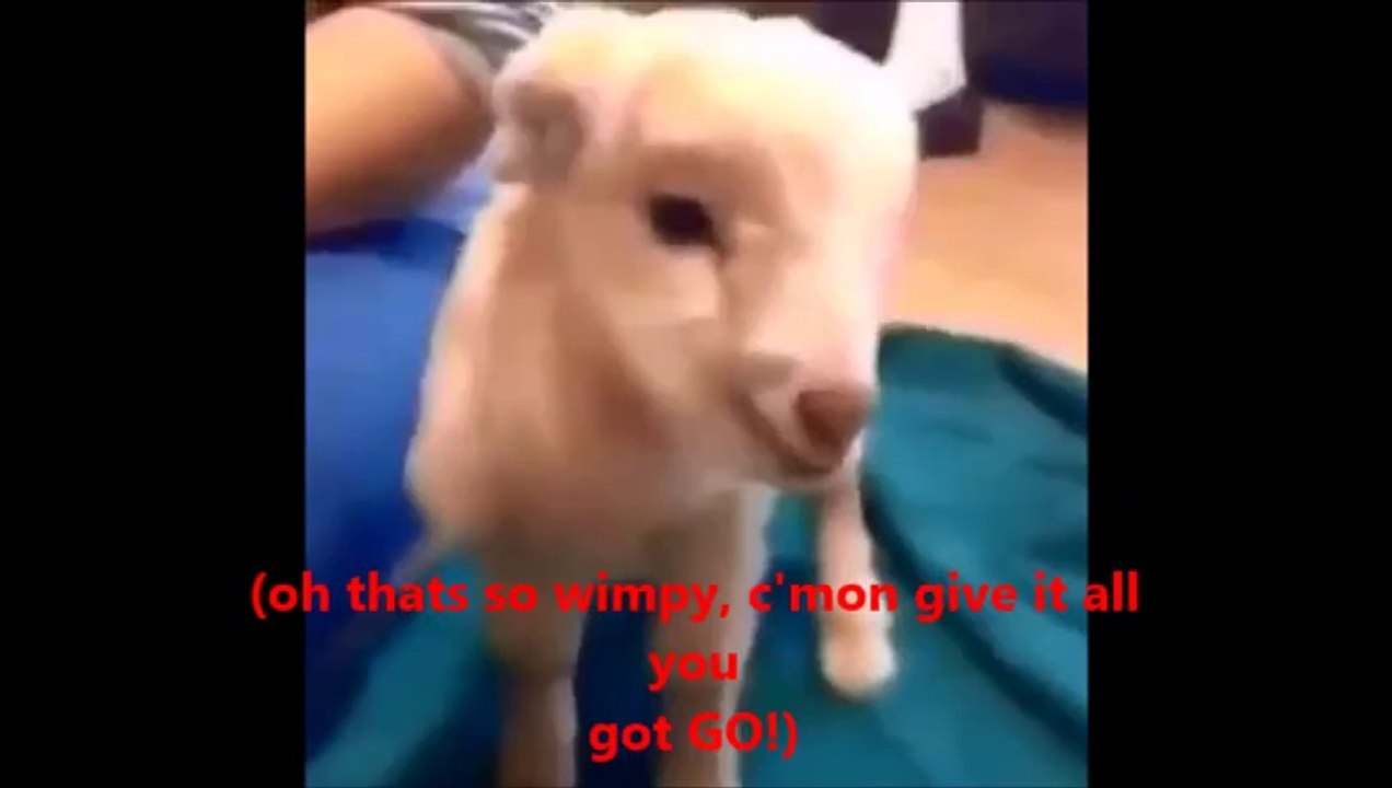 Goat Rap (Basically an Eagle) [Rap Video]