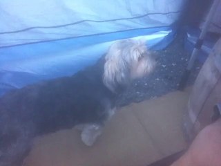 Camping St-Jean Baptiste ( Abri )