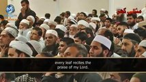 Hazrat Moulana Tariq Jameel's Videos نماز اور اچھے اخلاق