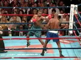 Roy Jones JR's greatest knockouts