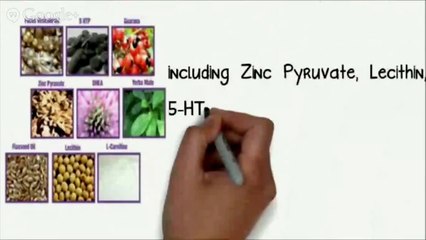 Get A Slim Weight Patch Free Trial