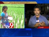 Most T-farmers' loans incurred after 2013 - TRS