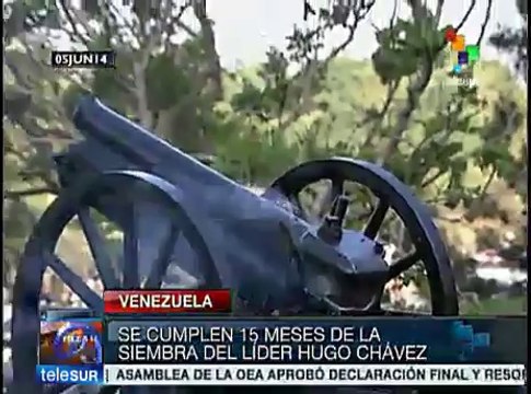 Venezolanos conmemoran 15 meses de la siembra de Chávez