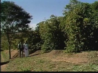 Os Imigrantes CAP 63