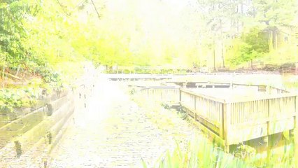 The Promenade at Berkeley Apartments in Duluth, GA - ForRent.com