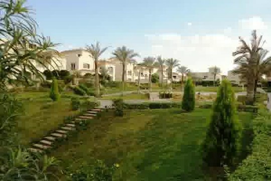 Modern Apartment for Rent in El Patio Compound with Shared Swimming Pool Garden.