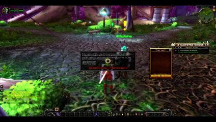 X Elerated Warcraft Guides Review