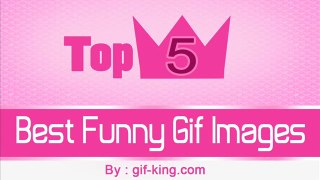 Top 5 Best Funny Gif Images by Gif-king.com