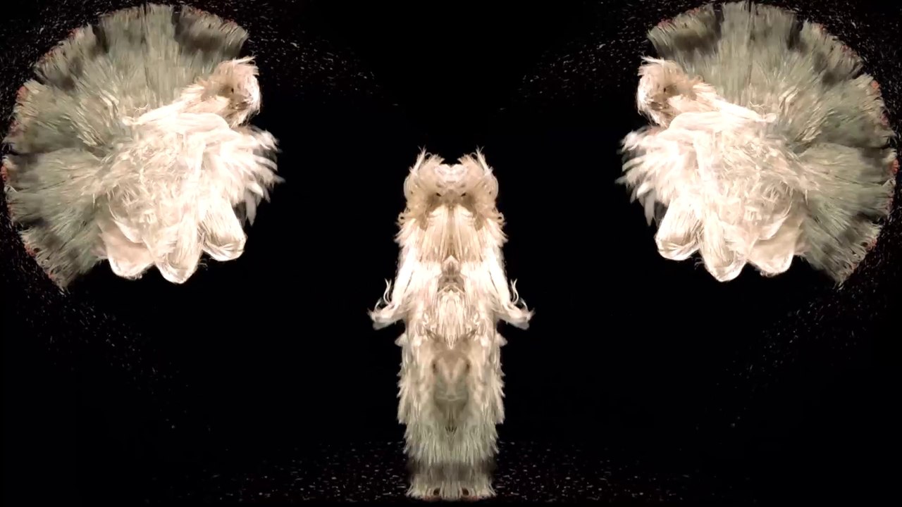 Les Muses fantastiques de Charlie le Mindu #1