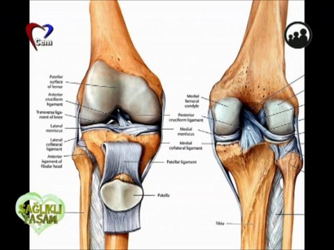 romatizma hastalıkları / demet kaytan ile sağlıklı yaşam