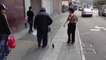 Un oiseau suit un homme dans la rue