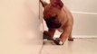 French Bulldog Puppy Discovers Spring Door Stopper
