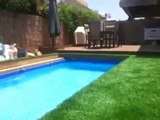 Have You Ever Seen Pool Like This Before