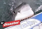 Un requin attaque des touristes sur leur bateau / Dr Disaster