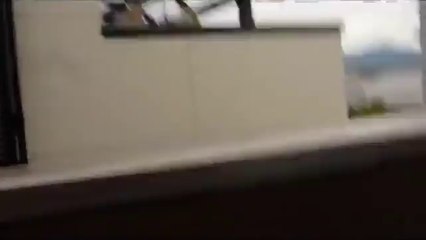 2階ベランダから隣の家に渡ろうとジャンプするが失敗してしまい落ちる猫