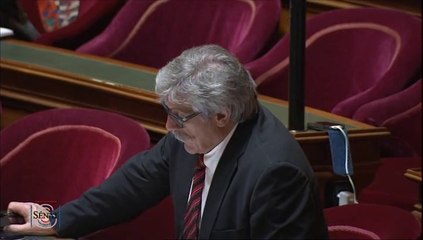 Débat sur les défis du monde rural - Pierre Camani - 19 février 2013