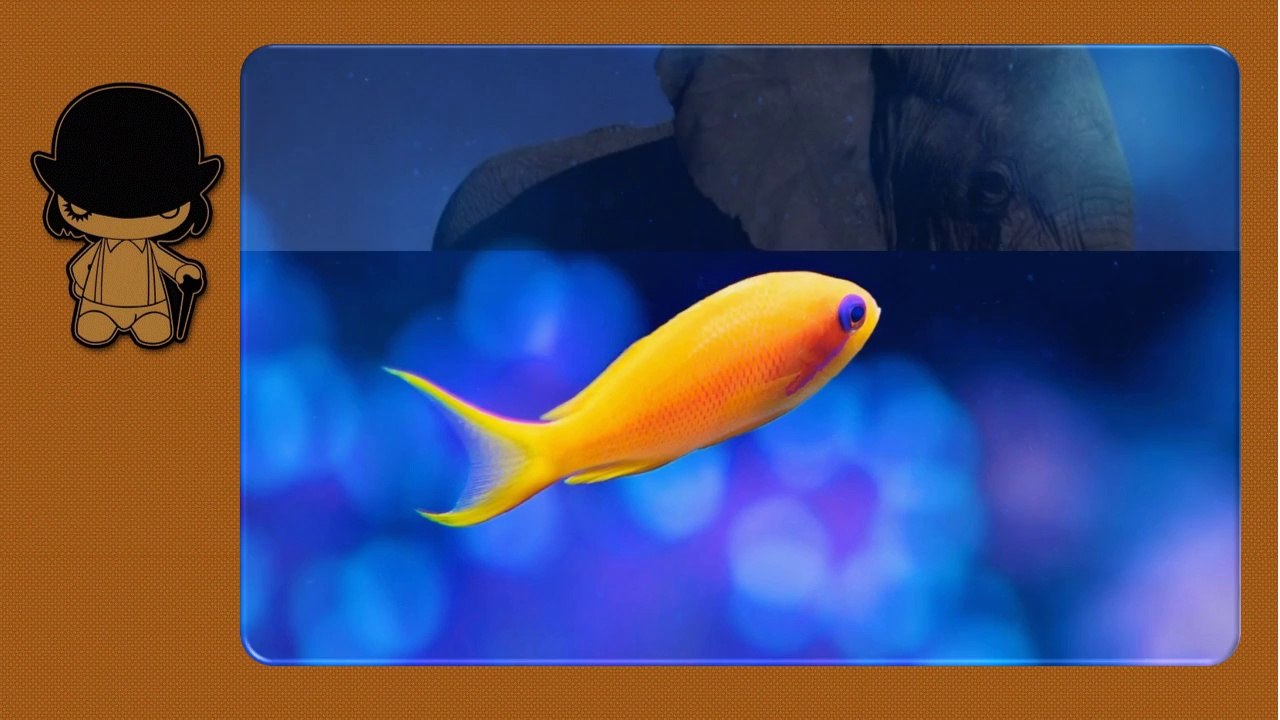 FANTASTIC WORLD hd
