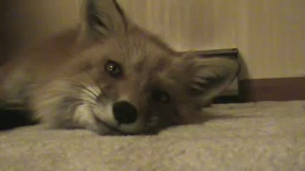 ▩블랙잭하는방법〓㏘▨▷ ＹＡＭ ７７７.℃OM ◀▧◐블랙잭하는방법블랙잭하는방법블랙잭하는방법블랙잭하는방법블랙잭하는방법블랙잭하는방법블랙잭하는방법블랙잭하는방법