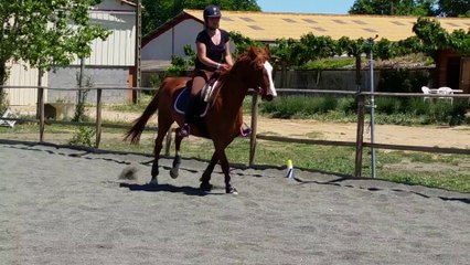 Uster cercle galop