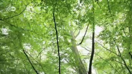 اختراعات غريبة وعملية | يوروماكس