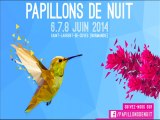 Programmation Festival Papillons de Nuit 2014 (REPLAY)