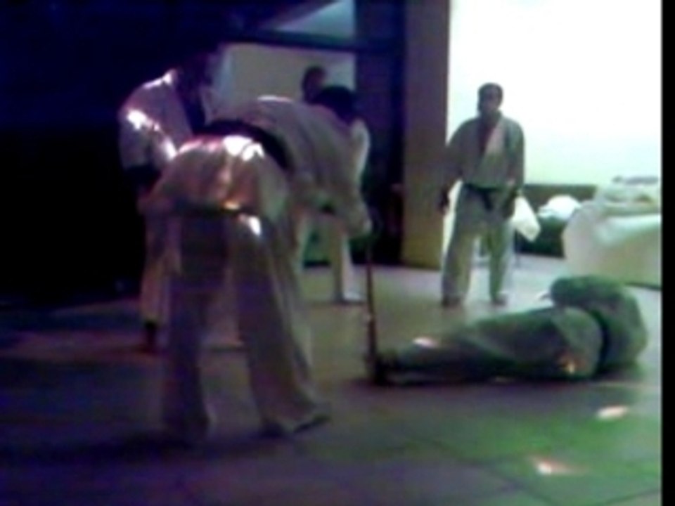 karatéka vs batte de baseball