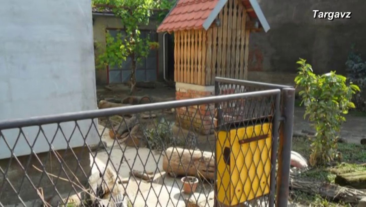 Miroslav Škoro- Tamo gdje je dom-Gunja u srcu