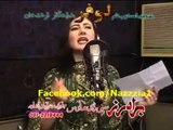 Pashto New Film Song 2013 - Loafer - Nazia Iqbal And Rahim Shah New Song - Dil Azari MaKawa