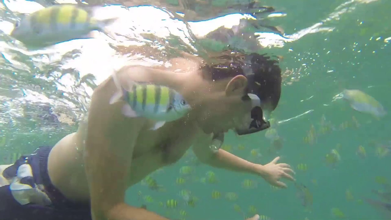 Masque Tuba à Ko Phi Phi