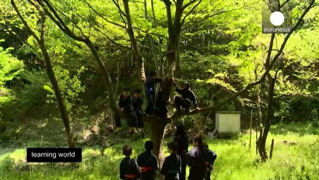 Bu efsaneler gerçek mi? Ninjalar, UFO'lar ve cüceler...