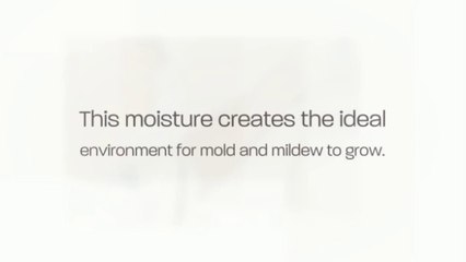 Mr Slim Mitsubishi in Richmond (Removing Mold and Mildew).
